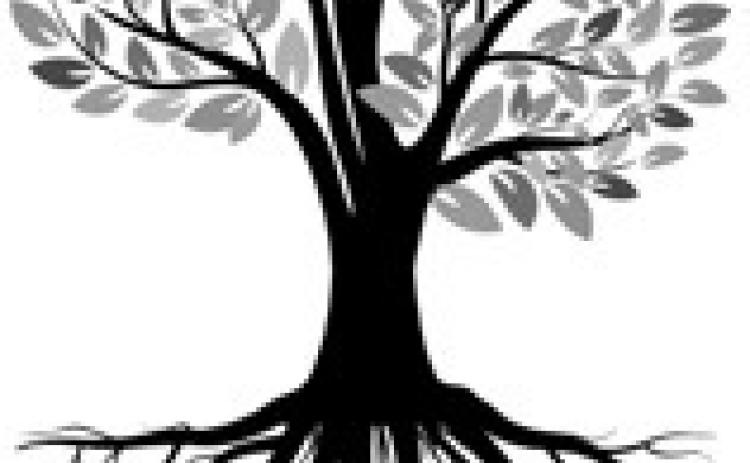Alt Text for Image