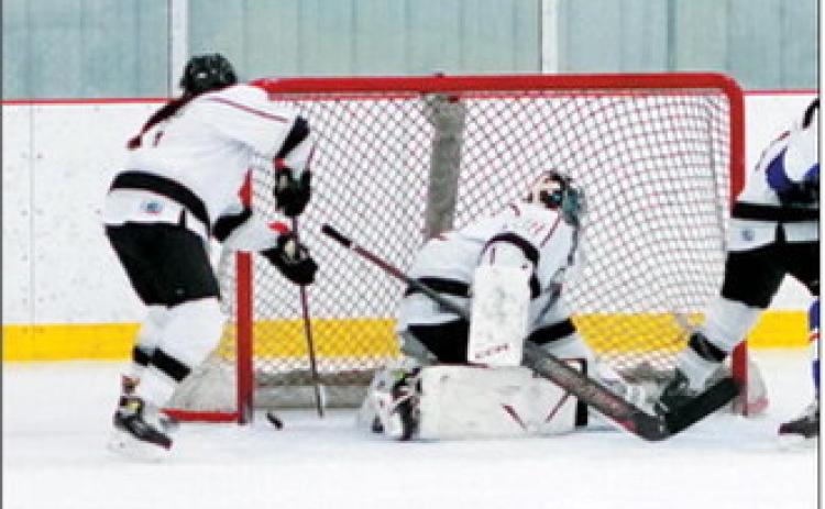 Stella Busse quickly stops the puck and pulls it away from scoring. Photo by Larry Stokke.