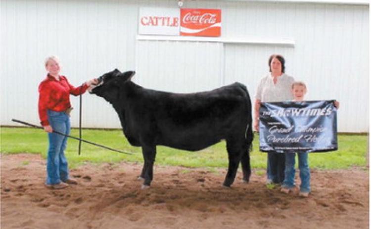 Bailey Samuelson earned Grand Champion Purebred Simmental Heifer honors at the North Dakota Junior Simmental Field Day in Carrington. Submitted photo