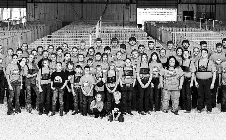 Youth compete at North Dakota Junior Beef Expo