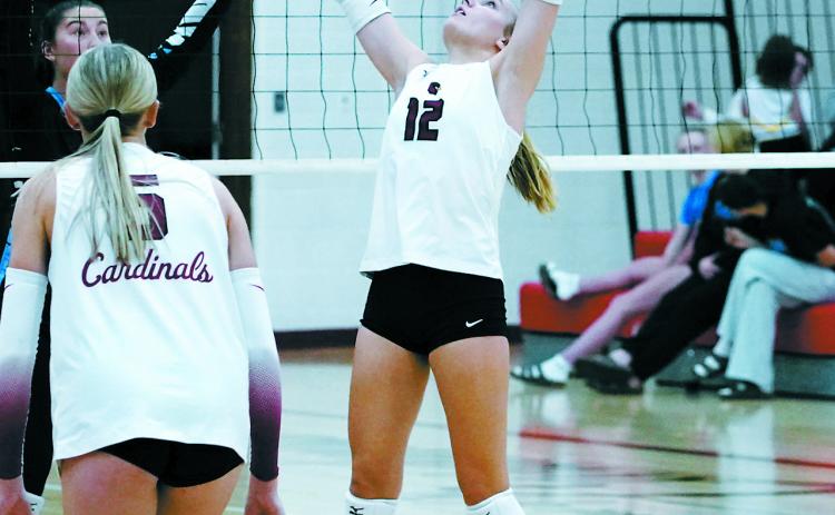 Co-Player of the Game Kemi Morstad had 20 assists, seven kills and eight digs in the Cardinals' win over NRS. Photo by Larry Stokke.
