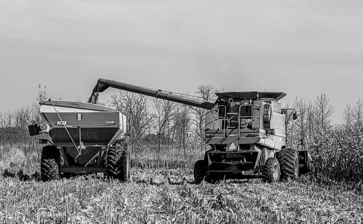 A farmer harvests corn near Mapleton, ND at the end of the 2024 growing season. Photo Sabrina Halvorson.