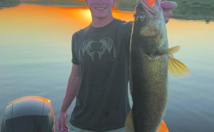 Nice Catch!