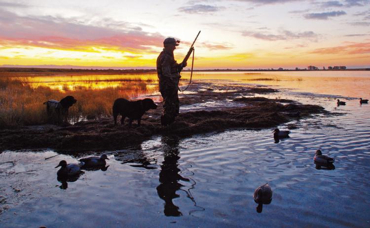 Small game, waterfowl, furbearer regulations set