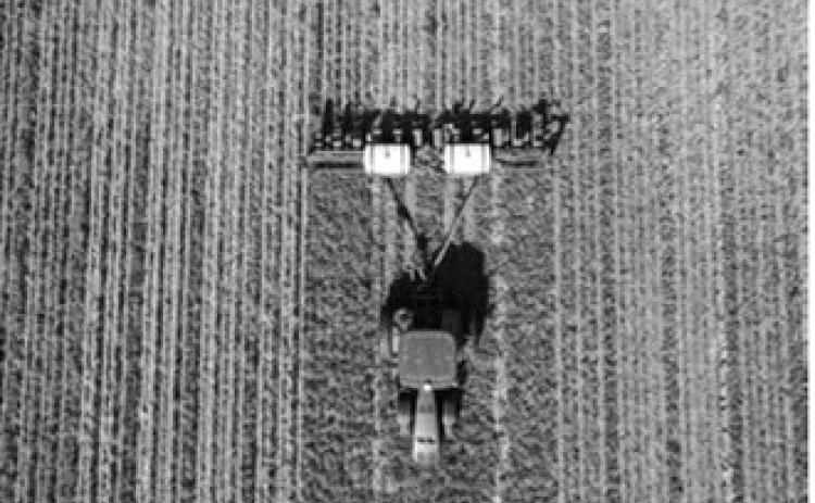A farmer plants corn into a cover crop, which is one of several regenerative agriculture practices that a new federal rule holds can reduce the overall greenhouse gas emissions of producing ethanol. (Photo by Jacob Tosch/USDA)