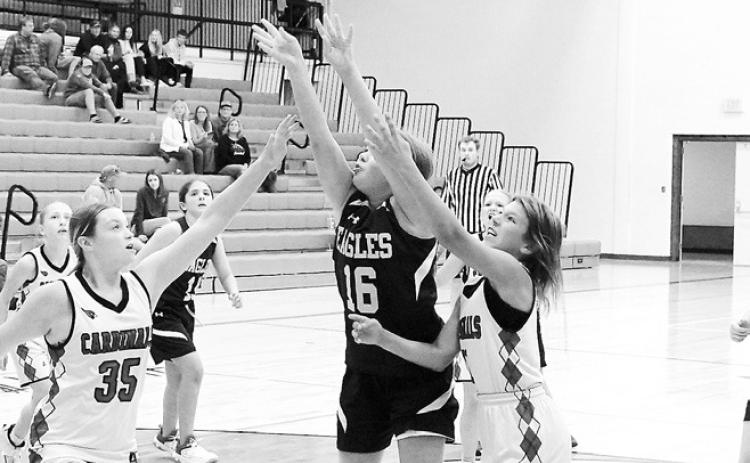 North Border Eagle Lauren Smith puts up a shot in the game against the Cards Aug. 6. Photo by Larry Stokke.