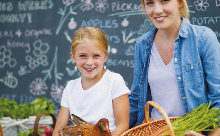 Farmers markets in full swing