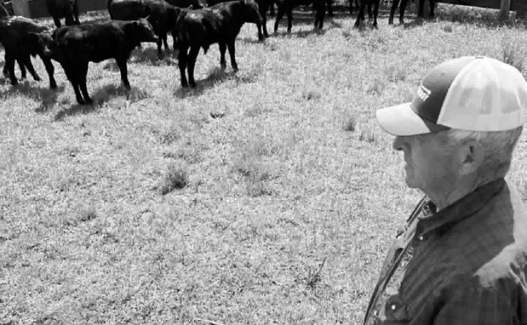 Dennis keeping an eye out for cow tippers