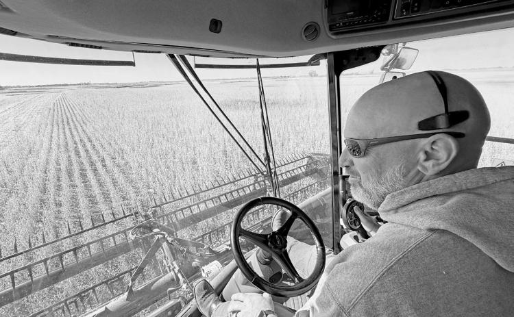 Colin Sundquist, Wyatt’s father, drives a grain cart while helping his son with harvest. Photo courtesy of Chris Aaruhs, North Dakota Farmers Union.