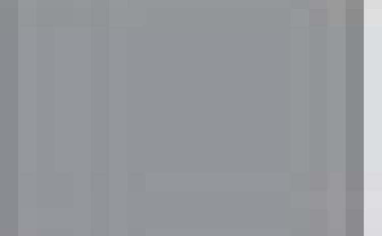 Alt Text for Image