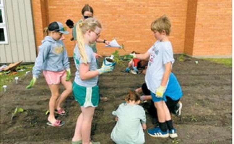 Youth help plant the Cavalier County Community Garden during the first Junior Master Gardener session of the summer. Photo by Jane Hayen