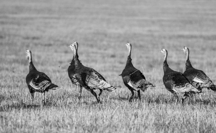 North Dakota Game &amp; Fish updates