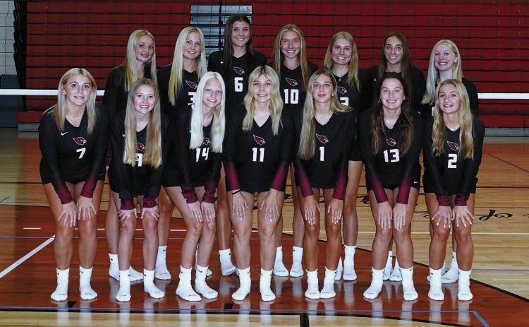 Back row (L-R) Halle Overby, Emma Hall, Taya Feist, Aubrey Badding, Kemi Morstad, Avery Lorenz, Hilary Haaven; front row: Liv Prouty, Aryanna Schaefer, Mya Swanson, Raeleigh Ratzlaff, Meggy Hetletved, Erika Bakke, and Ella Goodman. Photo by Larry Stokke.