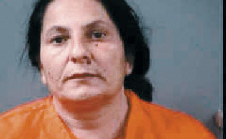 Romanian woman faces charges after illegally crossing border with group
