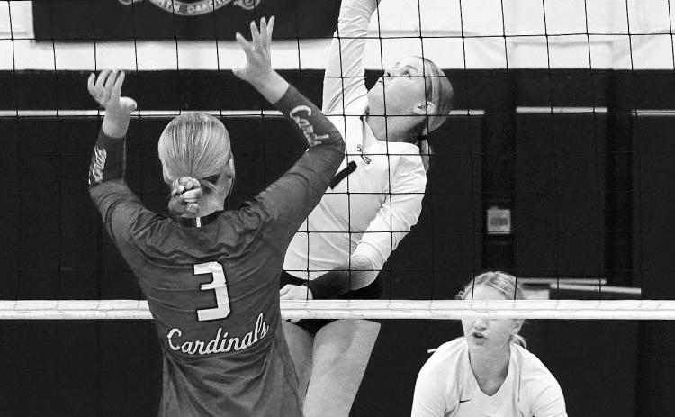 Caylee Berg get high in the air and sends the ball over for a point for the Eagles. Photo by Larry Stokke.