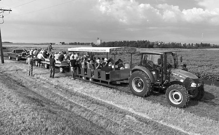 Disease management information, updates on new hard red spring wheat varieties and a look at the new NDSU Extension Soil Health Express educational trailer will highlight the LREC field day activities. (NDSU photo)