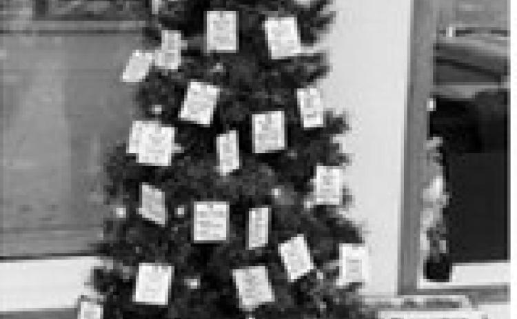 Bread Pan Giving Tree marks record year
