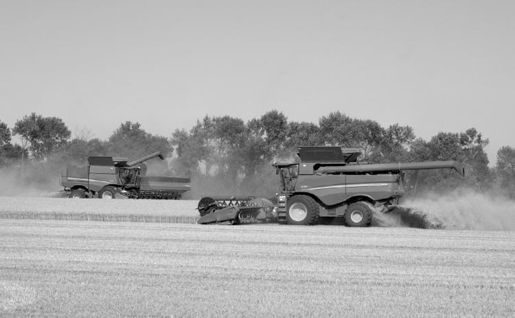 Combines working fields at the corner of Highway 5 and Highway 32 and harvest gets underway. Photo by Larry Stokke.