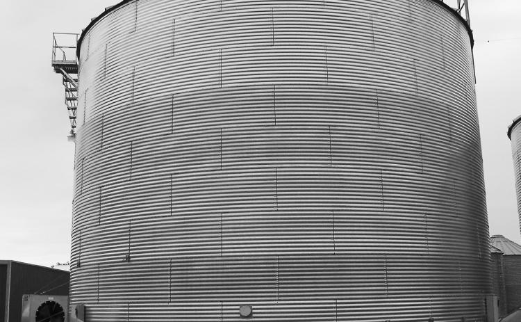 Be proactive against mold growth in grain storage by monitoring temperature and moisture. (NDSU photo)