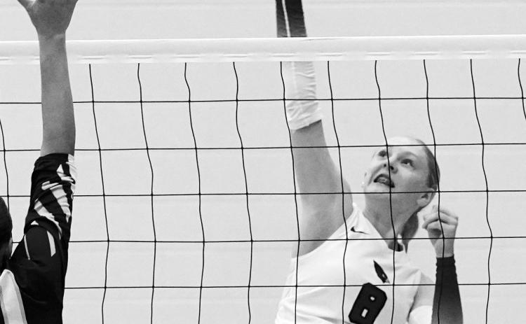 Hillary Haaven with one of her 11 kills to go along with 14 digs against the Cougars. Photo by Larry Stokke.