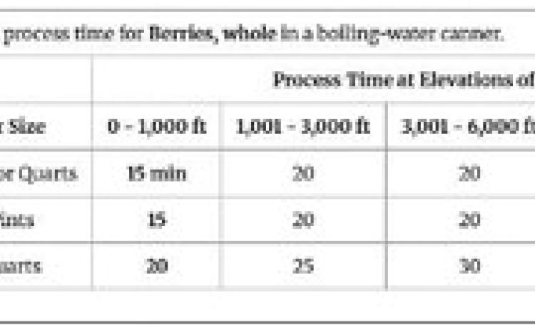 The recommended processing time for berries.