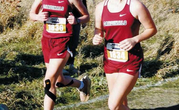 Chloe Foster and Remi Bodnar run side by side at State Cross Country Meet in Jamestown on Oct. 25. Photo by Larry Stokke.