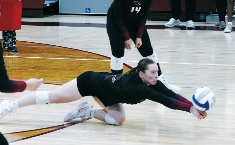 Meredith Romfo got her 1000th career dig in Grafton against the Spoilers. Photo by Larry Stokke.