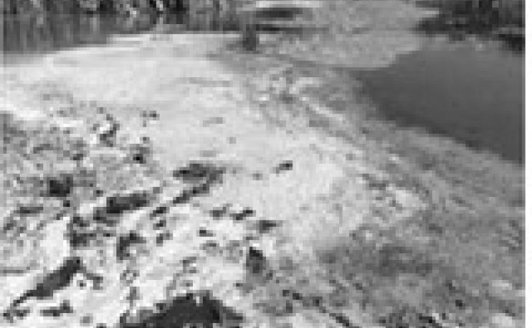 Cyanobacteria blooms can be exacerbated by prolonged high temperatures and stagnant water. (NDSU photo)