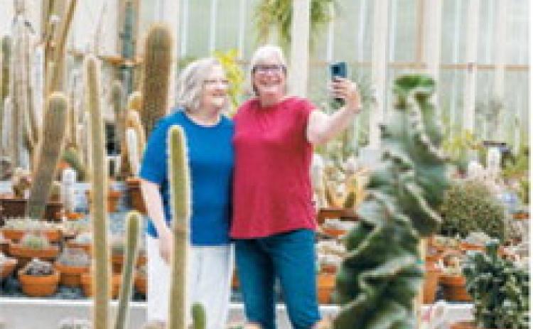 Peace Garden offers free entry for seniors